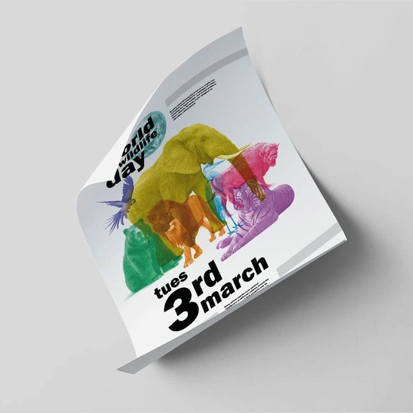 Budget Flyer